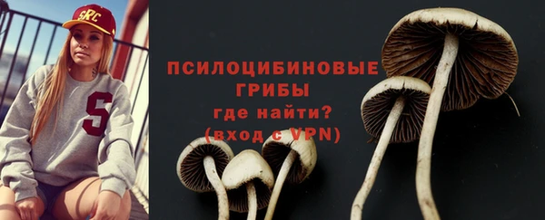 мдпв Зеленодольск