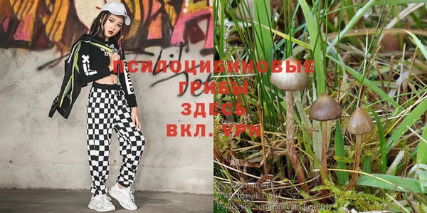 тгк Зерноград