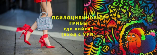 мдпв Зеленодольск