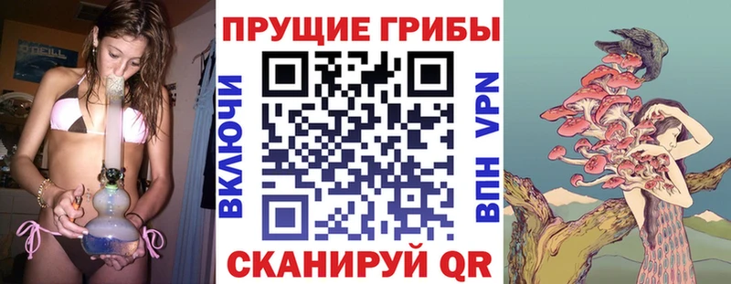 Псилоцибиновые грибы Psilocybe  Купить закладки  Волжск 